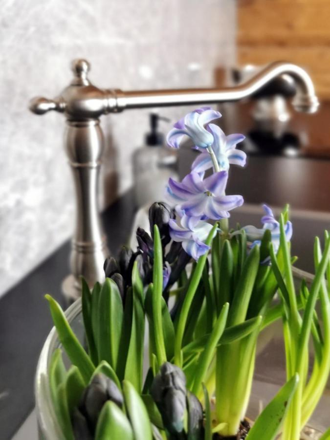 Siedlisko Koscielisko Apartment ภายนอก รูปภาพ
