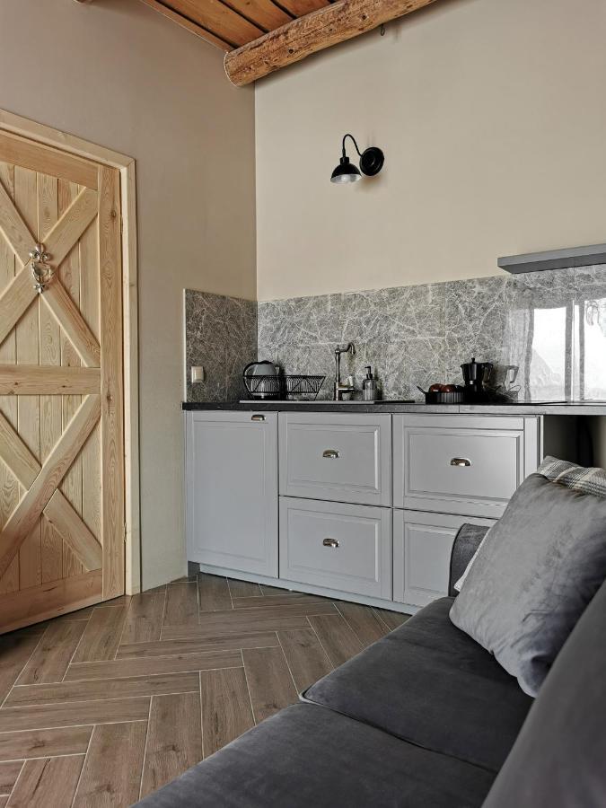 Siedlisko Koscielisko Apartment ภายนอก รูปภาพ