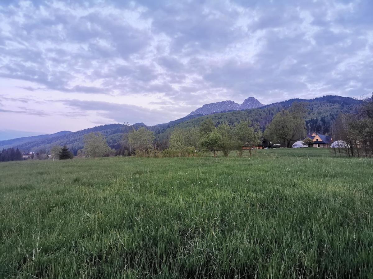 Siedlisko Koscielisko Apartment ภายนอก รูปภาพ