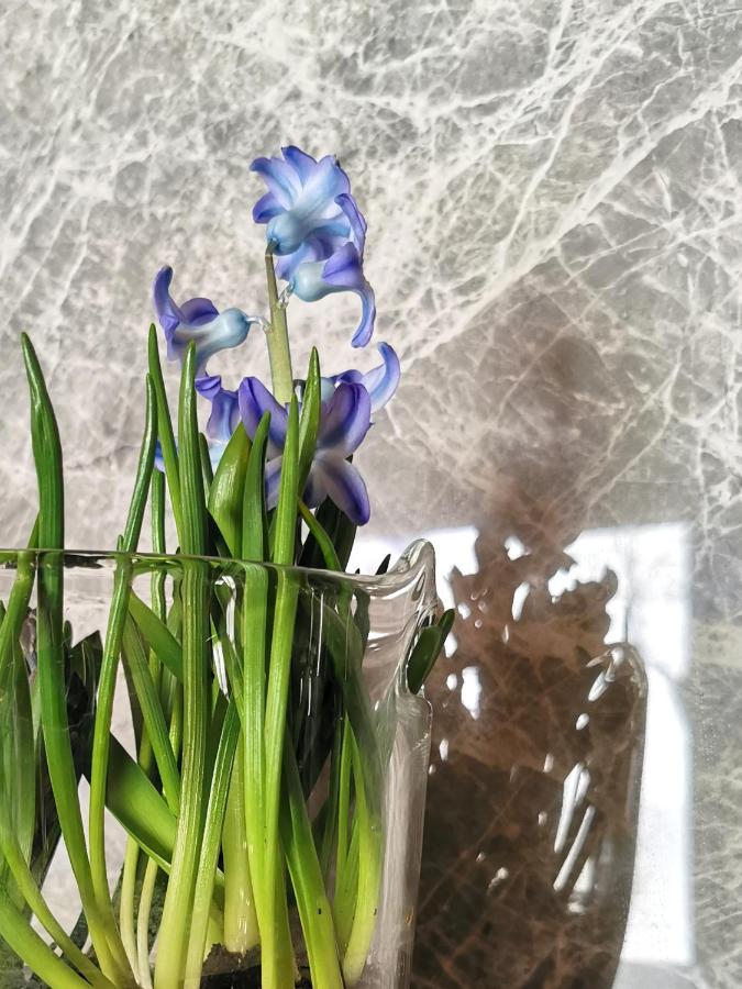 Siedlisko Koscielisko Apartment ภายนอก รูปภาพ